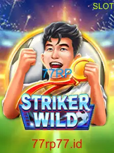 StrikerWILD